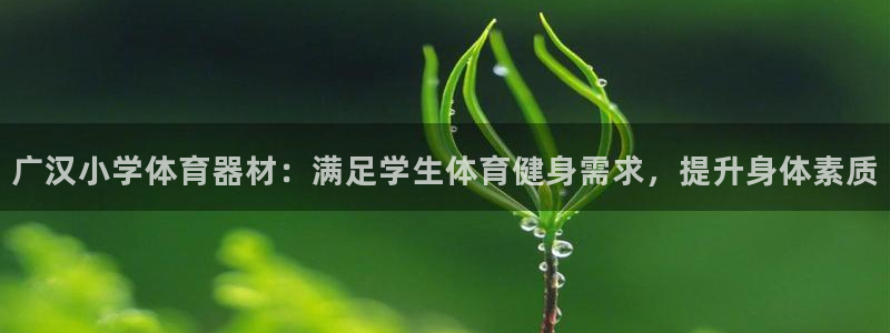 耀世娱乐脚本下载官网：广汉小学体育器材：满足学生体育