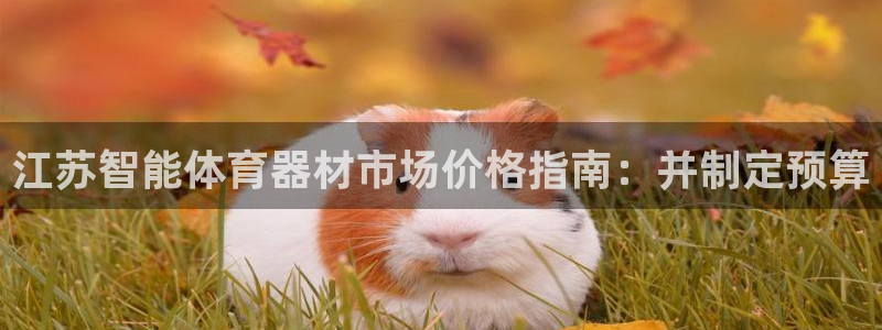 耀世娱乐挂机软件：江苏智能体育器材市场价格指南：并制