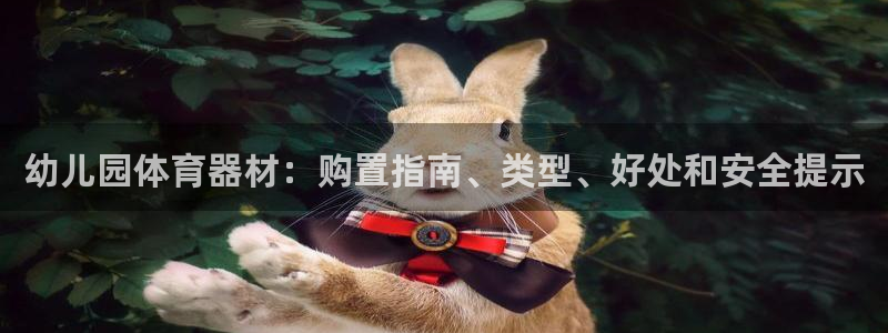 耀世璀璨：幼儿园体育器材：购置指南、类型、好处和安全