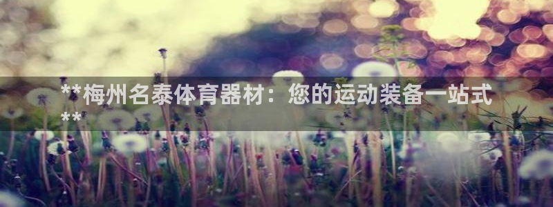 耀世挑战攻略：**梅州名泰体育器材：您的运动装备一站