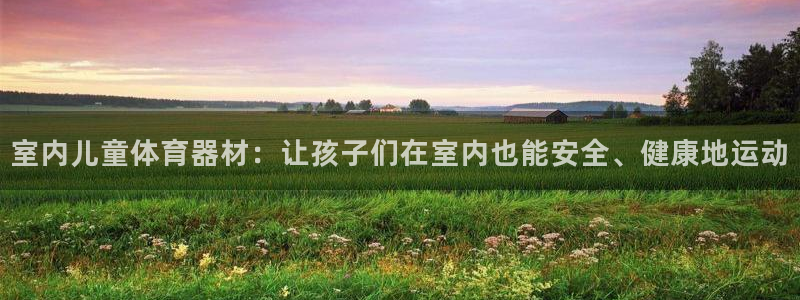 耀世娱乐能提现到微信吗：室内儿童体育器材：让孩子们在
