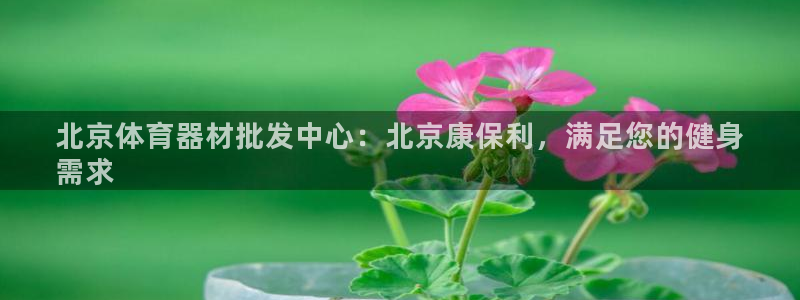 耀世平台开户流程图：北京体育器材批发中心：北京康保利