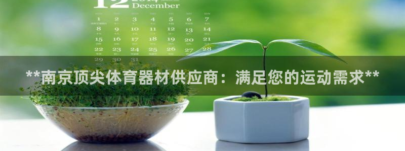耀世出行：**南京顶尖体育器材供应商：满足您的运动需