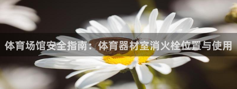 耀世娱乐注册官网网址：体育场馆安全指南：体育器材室消