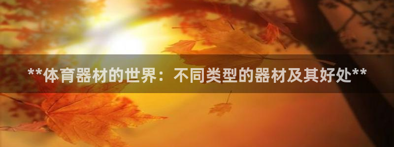 耀世集团罗文斌：**体育器材的世界：不同类型的器材及