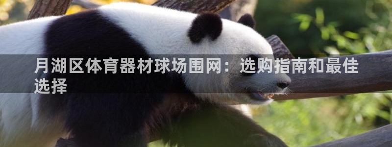 耀世平台官方网站：月湖区体育器材球场围网：选购指南和