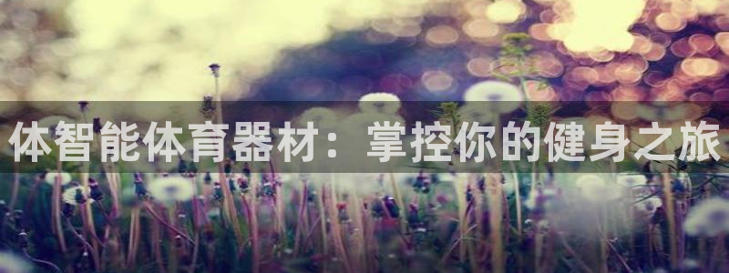 耀世集团是干嘛的企业：体智能体育器材：掌控你的健身之