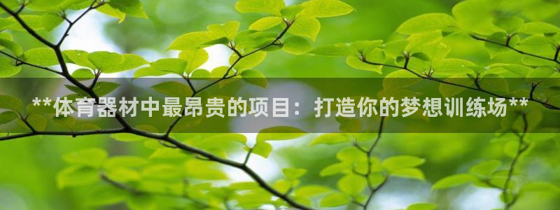 耀世娱乐百科：**体育器材中最昂贵的项目：打造你的梦