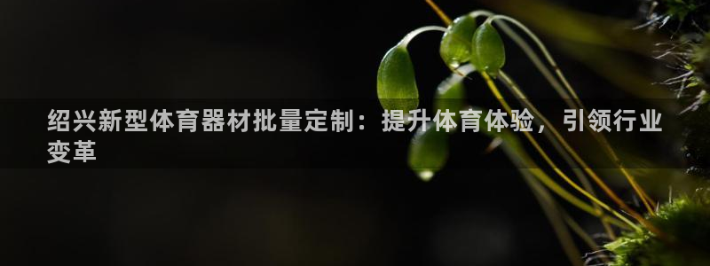 耀世集团员工福利待遇：绍兴新型体育器材批量定制：提升