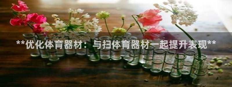 耀世娱乐挂机软件：**优化体育器材：与扫体育器材一起