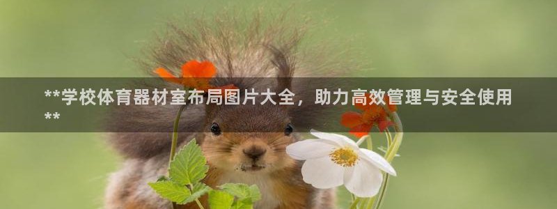 耀世是什么游戏：**学校体育器材室布局图片大全，助力