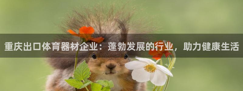 耀世娱乐平台主管：重庆出口体育器材企业：蓬勃发展的行
