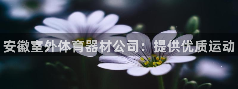耀世平台佳 5O6917 耀世：安徽室外体育器材公司