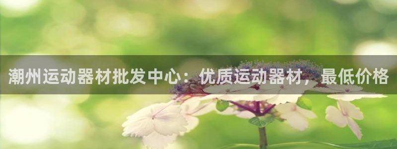 耀世娱乐平台注册地址在哪里查：潮州运动器材批发中心：