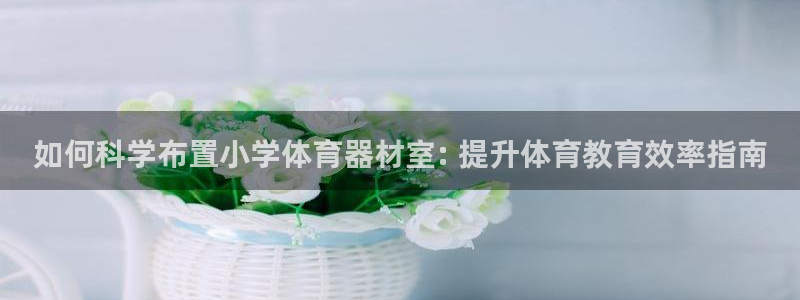 耀世国际平台正规吗安全吗：如何科学布置小学体育器材室