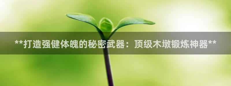 耀世挑战攻略：**打造强健体魄的秘密武器：顶级木墩锻