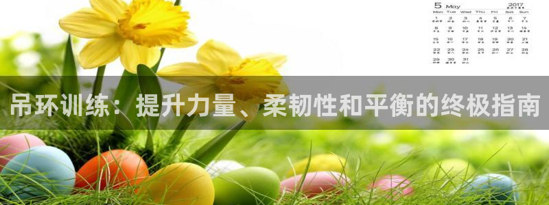 耀世娱乐价 411O31 耀世：吊环训练：提升力量、