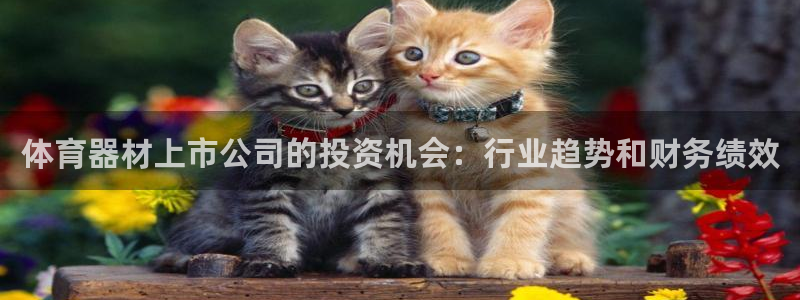 耀世娱乐合法吗：体育器材上市公司的投资机会：行业趋势