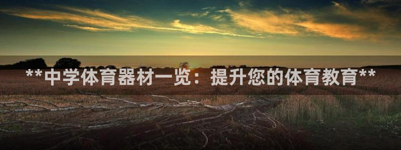 耀世平台会员中心在哪：**中学体育器材一览：提升您的