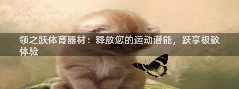 耀世娱乐挂机赚钱吗：领之跃体育器材：释放您的运动潜能
