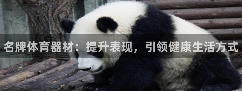 耀世而生：名牌体育器材：提升表现，引领健康生活方式