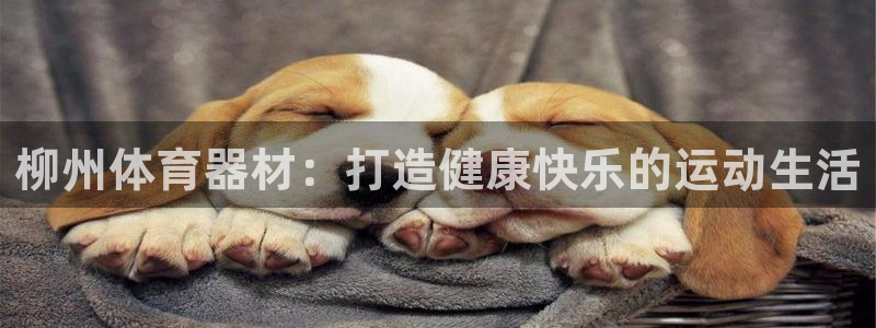 耀世娱乐如何登录平台账户：柳州体育器材：打造健康快乐