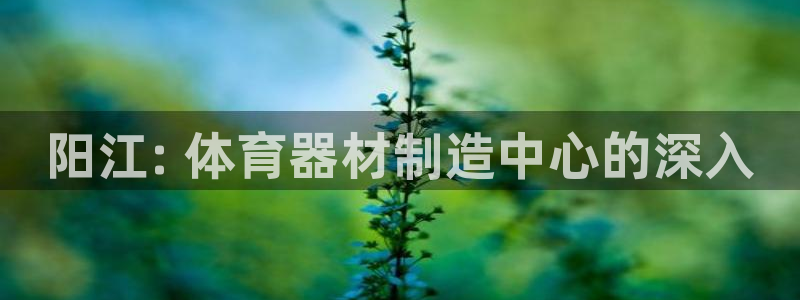 耀世娱乐升 5O6917 娱乐：阳江: 体育器材制造