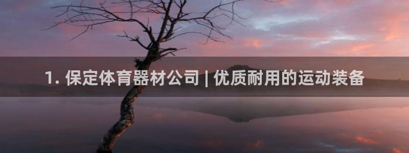 耀世娱乐脚本不死挂机：1. 保定体育器材公司 | 优