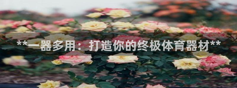 耀世平台木 5o69I7：**一器多用：打造你的终极