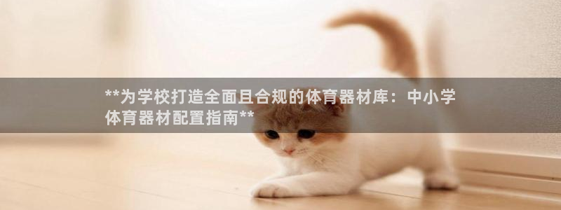 耀世娱乐挂机教程：**为学校打造全面且合规的体育器材