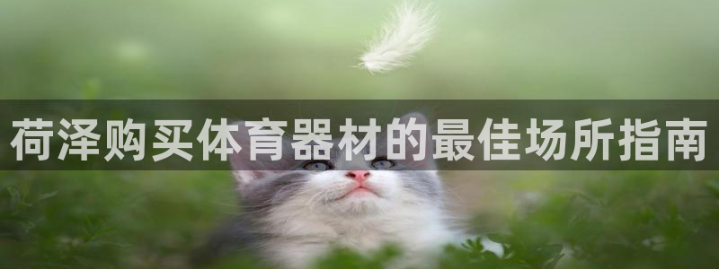 耀世影视：荷泽购买体育器材的最佳场所指南