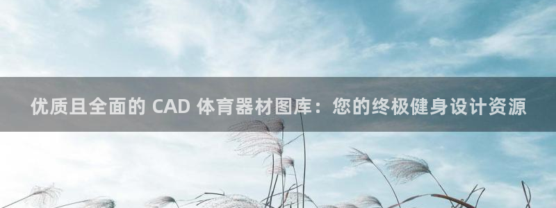 耀世娱乐能提现到微信吗：优质且全面的 CAD 体育器