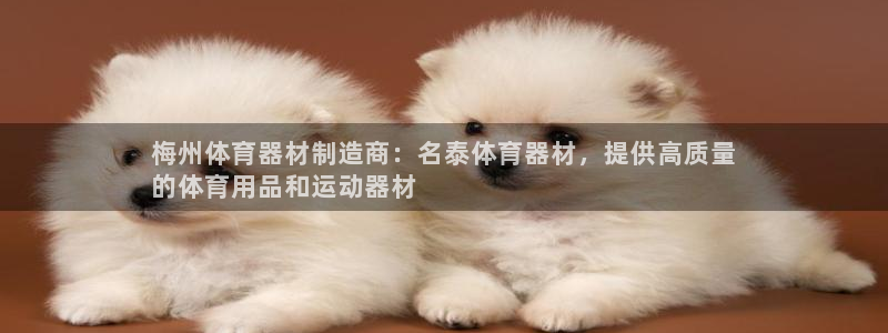 耀世娱乐圈主管什么：梅州体育器材制造商：名泰体育器材