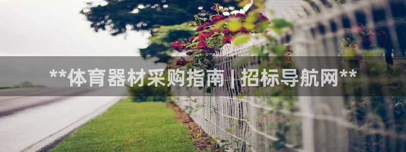 六星耀世什么意思：**体育器材采购指南 | 招标导航
