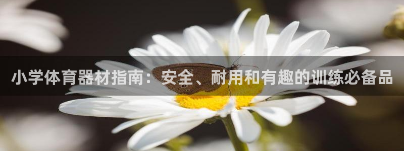 耀世平台代理多少钱：小学体育器材指南：安全、耐用和有