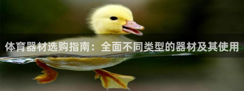 耀世娱乐网站官网：体育器材选购指南：全面不同类型的器