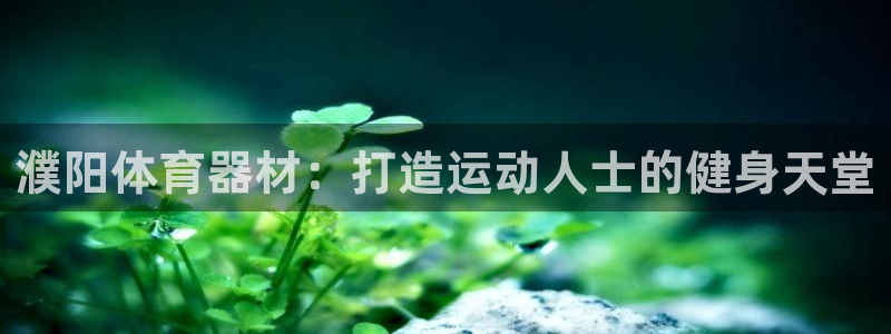 耀世娱乐列7O777：濮阳体育器材：打造运动人士的健