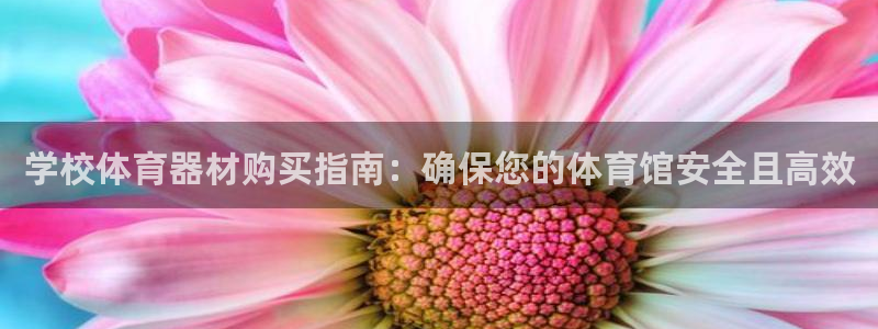 耀世盛典手游：学校体育器材购买指南：确保您的体育馆安