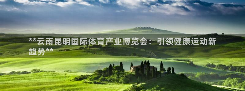 耀世平台的运营模式分析：**云南昆明国际体育产业博览
