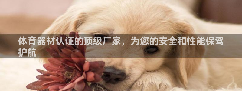 耀世平台注册网址是多少啊：体育器材认证的顶级厂家，为