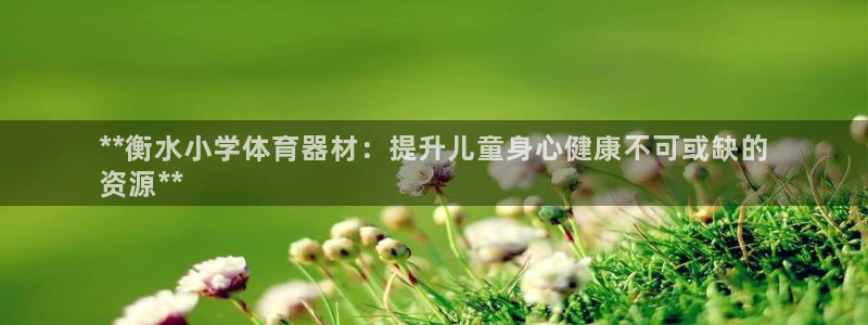 耀世盛典官网入口：**衡水小学体育器材：提升儿童身心