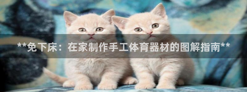 耀世平台开户流程是什么：**免下床：在家制作手工体育