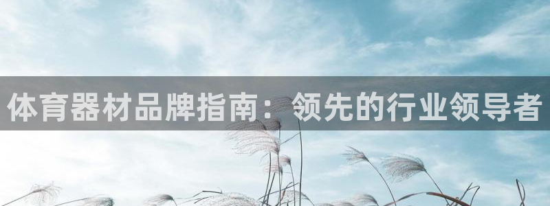 耀世娱乐骗局揭秘：体育器材品牌指南：领先的行业领导者