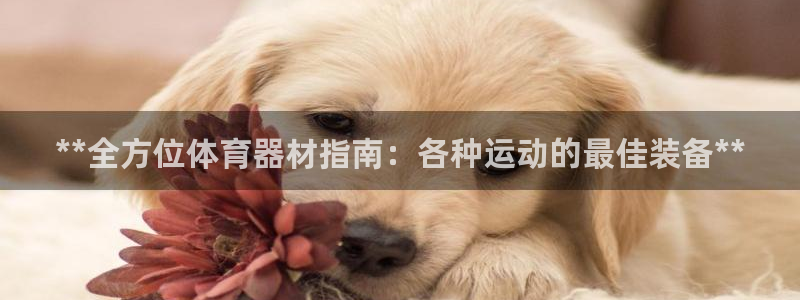 耀世娱乐官方网站下载：**全方位体育器材指南：各种运