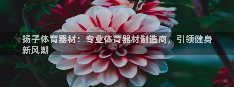 耀世娱乐官网注册流程：扬子体育器材：专业体育器材制造