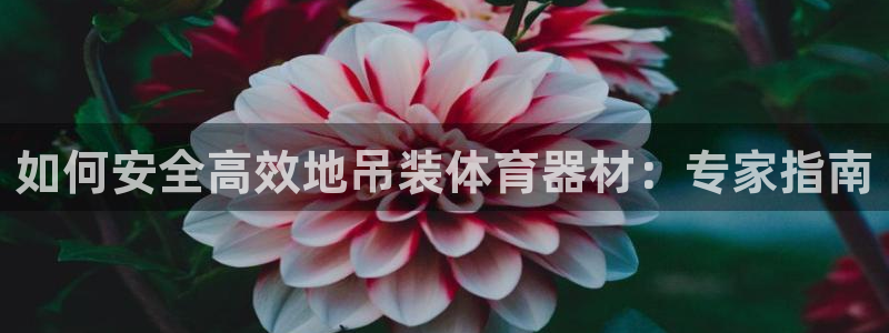 耀世集团商业联盟：如何安全高效地吊装体育器材：专家指