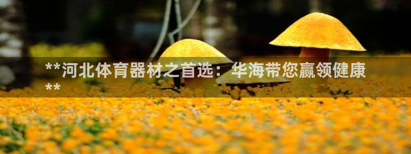 耀世平台易 411031 耀世：**河北体育器材之首