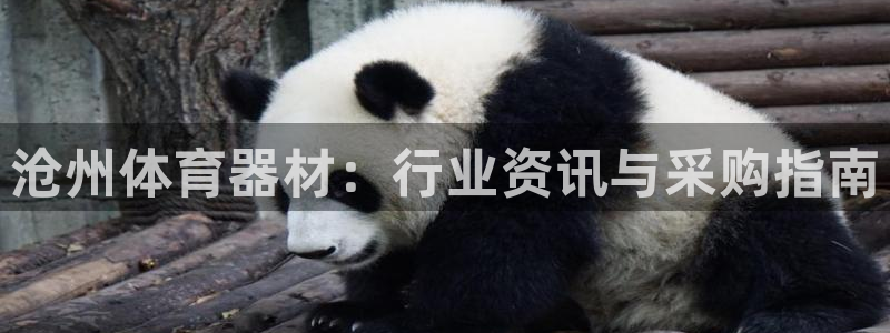 耀世平台注册登录不上怎么办：沧州体育器材：行业资讯与
