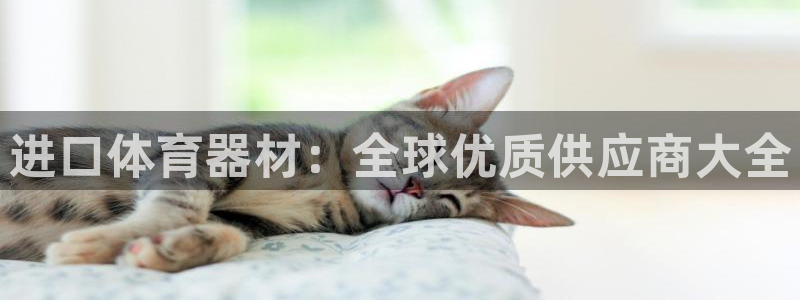 耀世集团董事长抖音是谁：进口体育器材：全球优质供应商
