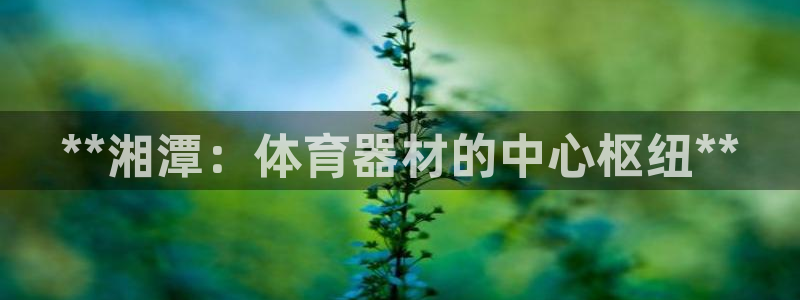 耀世平台非 41IO31 耀世：**湘潭：体育器材的
